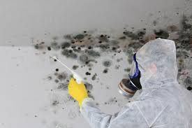 Trusted Barron, WI Mold Removal & Remediation Experts